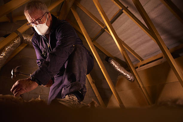 Best Commercial Insulation in Bridgeport, PA